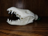 ApeX game calls glow Coyote skull hand call housing