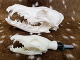 ApeX game calls glow Coyote skull hand call housing