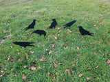 Boondock Outdoors Boondocker Flat Flocker crow silhouette decoy 5 pack