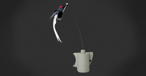 Foxpro  Foxjack 4 decoy