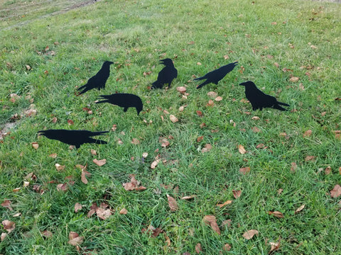 Boondock Outdoors Boondocker Flat Flocker crow silhouette decoy 5 pack